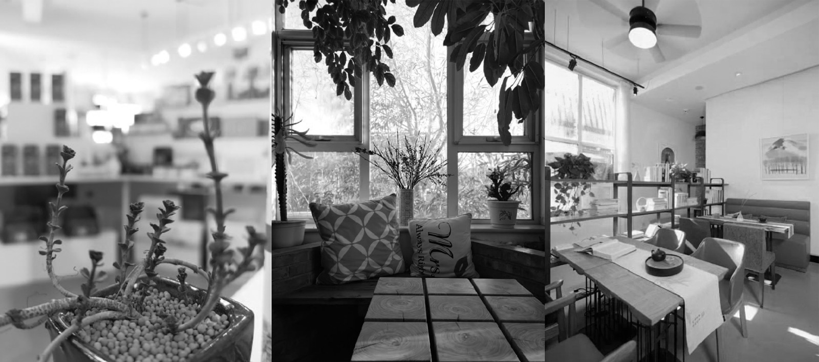 1555493221615862.jpg 1555493221615862.jpg